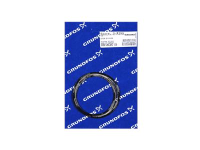 98163015 grundfos уплотнение (запасная часть) 5711490693560